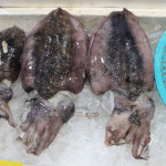 [부천시 배달] 갑오징어 500g [중동 그린수산] : 동네시장 장보기