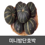 약수농장 국내산 미니밤단호박 2kg 6수 10수 : 서호마당