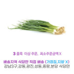 파 깐쪽파 3kg 식자재 내일 새벽6시 도착 : 식당만 배송 마켓대리서비스