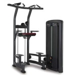 어시스트풀업머신 등 딥스 턱걸이 헬스 기구 어시스트 풀업 머신 : 스타플레이스4