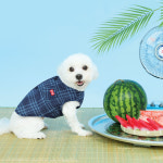 [BYC본사] 개리야스 모시메리 ODM0002 : BYC본사