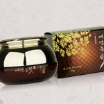 (제스트)에담윤 여자화장품 윤진결 아이크림 발효한방 50g 50g : 제스트칸