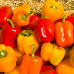 농가살리기 경북 김천 건강한 가정용 파프리카 5kg(랜덤과) : HYEJA MARKET