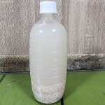 [거제시 배달] 시원한 식혜 500ml [거제고현 사계절왕호떡] : 동네시장 장보기
