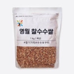 영월수수 1KG : 가심비 가성비 익스프레스