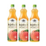 [웅진] 가야복숭아농장 1.5L 12펫 : 디유니