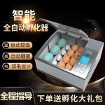 국산병아리 자동 인큐베이터 알 계란 부화기 메추리 조류 : 패밀리드림