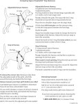 LupinePet 루파인펫 고양이 하네스 롤리팝 스텝인 초소형견, 10-13 UG : 민일칠트린카
