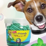 상쾌한 민트향 덴탈껌 구강관리용 저지방 강아지 간식 300g : 구스상회