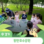 [숲파티포레] 동탄호수공원 동탄 화성 수원 경기 어린이 여름 방학 숲체험 유아 초등 자연 주말 체험 학습 : 아이고고