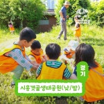 [깨비의숲마을][시흥갯골생태공원] 경기 시흥 숲체험 어린이 봄 여름 유아 초등 자연 곤충 주말 체험 학습 : 아이고고