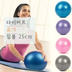 서진 짐볼 탱탱볼 요가 다이어트 헬스 필라테스 운동 홈트 스트레칭 밸런스 트레이닝 코어 : 서진마켓no.1