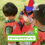 [깨비의숲마을][안양유아숲체험원] 경기 안양 숲체험 어린이 여름 방학 유아 초등 자연 곤충 주말 체험 학습 : 아이고고