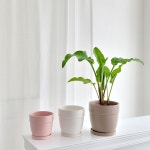 모던 도기 심플팽이 화분 YW3405 D13 13x12cm 핑크 : 미니여우가게