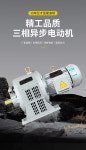 전자기 속도 조절 모터 3 상 슬립 감소 75 kW 90 110 132 160kW 380V : 현진36
