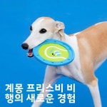 고양이 플레이 도구 훈련 야외 강아지 브레더 경계 목장 놀이 1. 테니스 애완 동물 프리스비 : 오더박스6호점