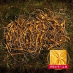 자연삼가 강원도 토종 산양삼 실속형 100g 5-6년근 60-90뿌리 : 가심비 가성비 익스프레스