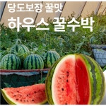 D하우스수박 : 채소밭길