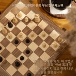 입문자 체스판 세트 창의력 두뇌개발 취미 놀이용품 체스세트 : 더베어스