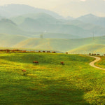 [서산-기차] 4/8확정 유기방가옥 수선화축제 한우목장벚꽃 해미읍성 봄당일기차여행 : 착한여행6952