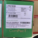 LV431830 : 동대상사
