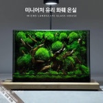 테라리움 케이스 이끼 생태계 유리상자 만들기 비바리움 유리 : 무엇이든247