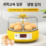 계란부화기 가정용 알부화기 메추리 병아리 조류 달걀 닭 : 글로피아