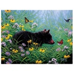SunsOut , Inc - Black Bear and Butterflies 500 Piece Puzzle : 세일조2