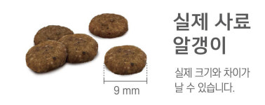 건강백서 비숑, 2kg, 1개 : 반려라이프