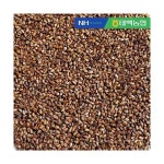 더조은우리농산물 한산애 결명자 500g : modern8067