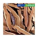 더조은우리농산물 한산애 영지 200g : modern8067