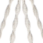 의자 정원 스윙 코튼 해먹 마크라메 걸이 수제 야외 로프 g 북유럽 침대 실내 150 체어 : 힐유포유