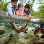 [싱가포르] 리버 원더스 & 리버퀘스트 탑승권 (구. 리버 사파리) : 부럽트래블