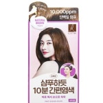 미용실 간편 샴푸형 염색약 두피보호 자연갈색 새치 4회용 자연스러운 모발 자가 부분 색상 : 생활로드