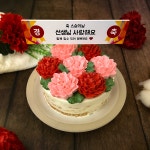 미니카네이션 케익 케이크 주문제작 스승의날 부모님 생신 수제 맞춤 케이크 전국 택배 배달 : 케익팩토리 딜리버리