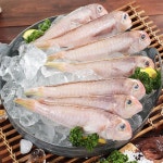 지앤케이 제주 통옥돔300g(2마리)x4팩 : 피쉬세일