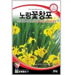 노랑꽃창포 30립 / 창포꽃 창포씨앗 씨 종자 다년생 CR : 헤디유통