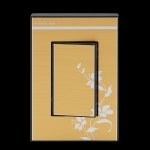 스위치아이언골드 1구1로 : 진솔건강주식회사