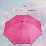 암막 가벼운 자외선차단 초경량 고급 레이스 양산 워터프론트 여성 휴대용 우산 가리개 : 슌심이네