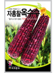 자홍찰옥수수 150립 / 자색 찰 옥수수 씨앗 종자 농작물 텃밭키우기 채소키우기 CR : 헤디유통