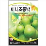 미니조롱박 10립 / 조롱박 씨앗 종자 텃밭키우기 채소키우기 CR : 헤디유통