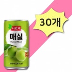 서편제 매실 X 175ml 30개 작은캔 캔음료 무료 : 제이엔유통