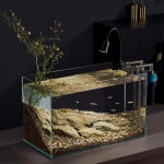 럭셔리 어항 거실 유리 수족관 데스크탑 모던 오리지널 심플한 디자인 애완 동물 제품 Acquario LLAQ : K무역