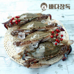 싱싱한 국내산 급냉 냉동 꽃게 암 특대/왕대, 1kg, 1개 : 바다장독