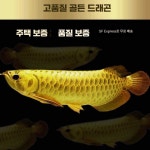 수조 태닝등 제품 발색 용어 금용 수족관 홍용 상품 1. 단일 상품 : 구스매스