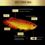 수조 태닝등 제품 발색 용어 금용 수족관 홍용 상품 1. 단일 상품 : 구스매스