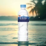 동원샘물 500ml 80병 생수 물 먹는샘물 : 홀리유통