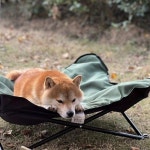 강아지 고양이 쇼파 침대 휴대용 개 캠핑 매트리스 분리형 : 공구랑놀자1