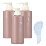 힐링버드 리바이브 단백질 샴푸 500ml 3개 헤어브러쉬 : 라운엔