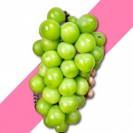 샤인머스켓 고당도 과일 산지직송 1.4KG : 제이엔유통